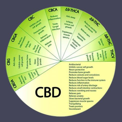 Broad Medical Opportunity 11 A broad range of medical indications have been shown to be alleviated by medical cannabis Key indications for use of medical cannabis: Known Uses New Uses Spasticity in