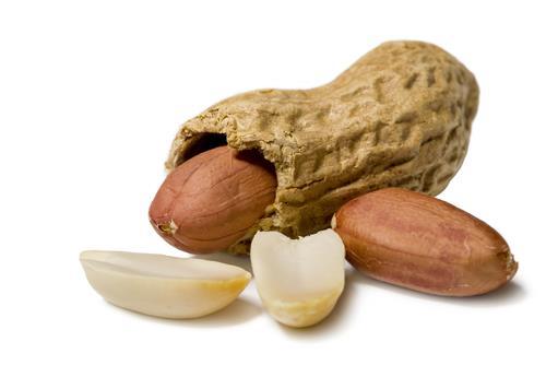 The Peanut Allergy Opportunity November 2015- exclusive right to develop Virus Like Particles (VLP) technology for allergy vaccines Carrier system to present allergens to the immune system First