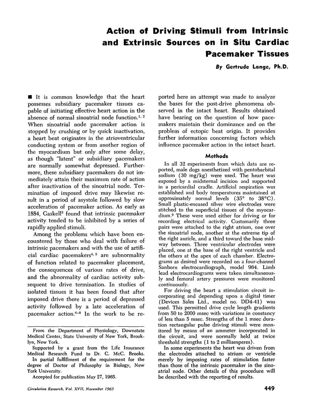 Action of Driving Stimuli from Intrinsic and Extrinsic Sources on in Situ Cardiac Pacemaker Tissues By Gertrude Lange, Ph.D. It is common knowledge that the heart possesses subsidiary pacemaker tissues capable of initiating effective heart action in the absence of normal sinoatrial node function.