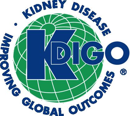 Evaluation of Chronic Kidney Disease Paul E de Jong
