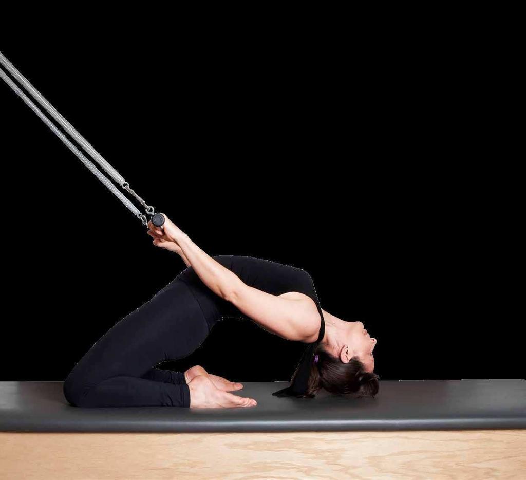 . Exercises on reformer. Anatomy of pelvic floor and the abdominals.