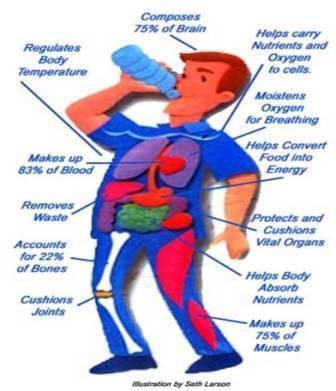 Hydration helps to get the most out of life