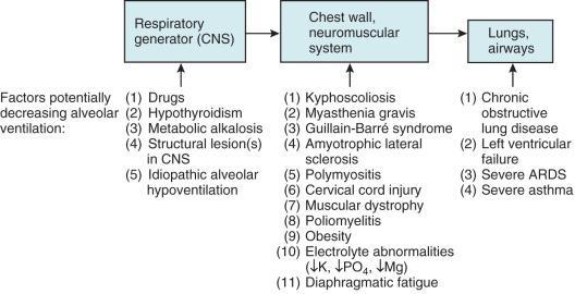 Defin Classification and Pathophysiologic Aspects of Respiratory Failure Steven E.