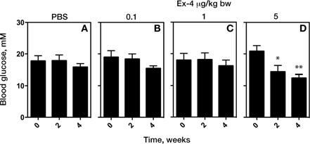 476 V. Darsalia and others Figure 2 Ex-4 effects on glycaemia in GK rats (A D) Fasted blood glucose levels in GK rats treated with PBS (n = 12), or EX-4 at 0.