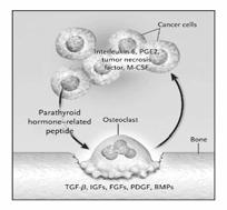 factors for tumor cells Premenopausal, E GnH agonist
