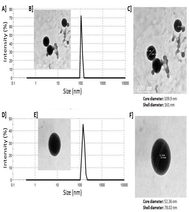 Figure. (1): AV and CR NPs characterization. A-C] the peak of the nano-void (NV) size distribution (A), TEM imaging (B), core size and shell size (C).