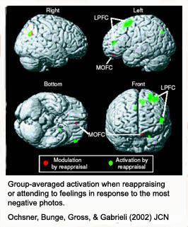 Neural mechanisms of cognitive reappraisal Ochsner et al, 2002, JCN Inhibitory role of