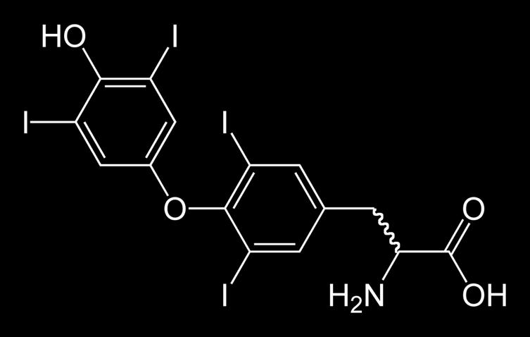 Thyroxine; MW
