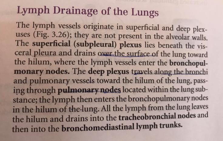 -Lymph nodes from the left side of the chest such as parasternal, tracheobronchial (usually located at the hilum), mediastinal and broncho-mediastinal lymph nodes will drain into the thoracic duct.