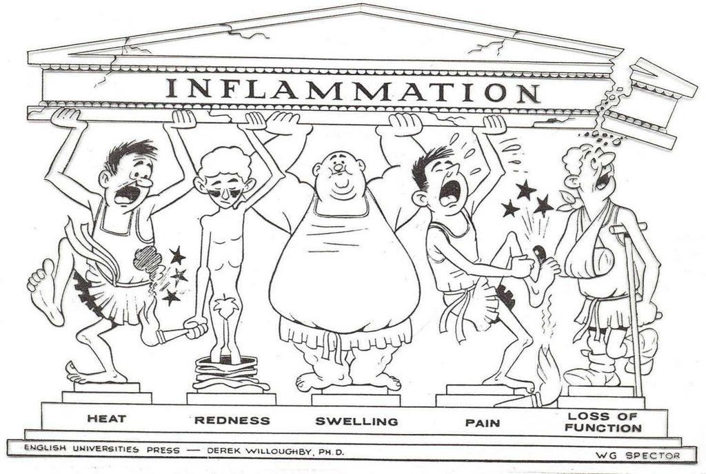 Inflammation -