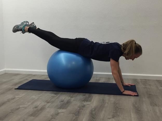 Double Leg Lift (Prone on Ball) Lie face down on ball with arms extended/hands on floor and