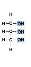 Glycerol is a 3-carbon molecule: to which