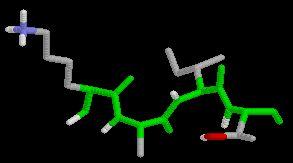I've taken the liberty of putting in a few annotations, such as the names of the R groups and the location of the N terminus. Can you trace the backbone through this molecule?