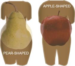 Classification of obesity as per fat distribution Android (or abdominal or central, males) -Collection of fat mostly in the abdomen (above the waist) -apple-shaped