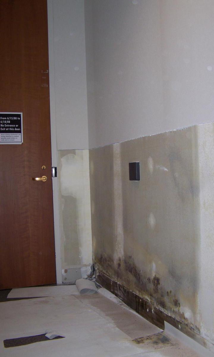 UTTC Prevent Mold in Your Home HANDOUT - MOLD Mold will contribute to health problems if you breathe too many mold spores.