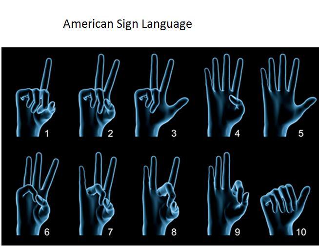 They are analyzed taking into account the following characteristics: Configuration: Hand shape while doing the sign. Orientation of the hand: Where the palm is pointing.