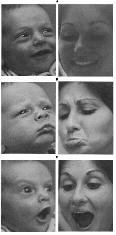 Discrimination & Imitation of Facial Expression 面部表情的區別與模仿 Human neonates (average age, 36 hours) discriminated