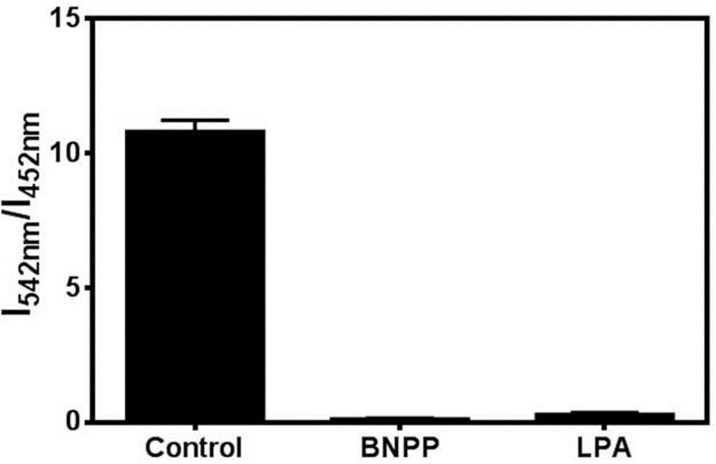 (c) Cells were pre-treated with LPA (100 μm) and then added NCEN (20 μm) at 37 C for 60 min.