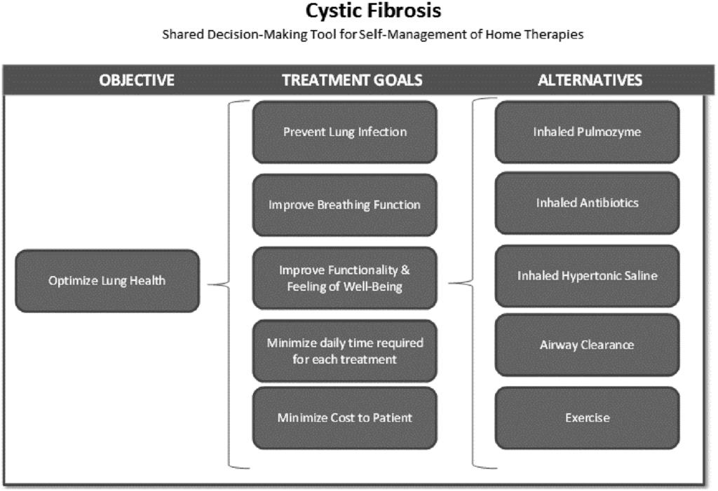 ECKMAN AND OTHERS Figure 1 Analytic hierarchy model for patients with cystic fibrosis (CF).