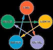 The Wood Element The five Elements as outlined in Traditional Chinese Medicine represent the elemental frequencies of the body - the understanding is that these five elements combine to manifest the