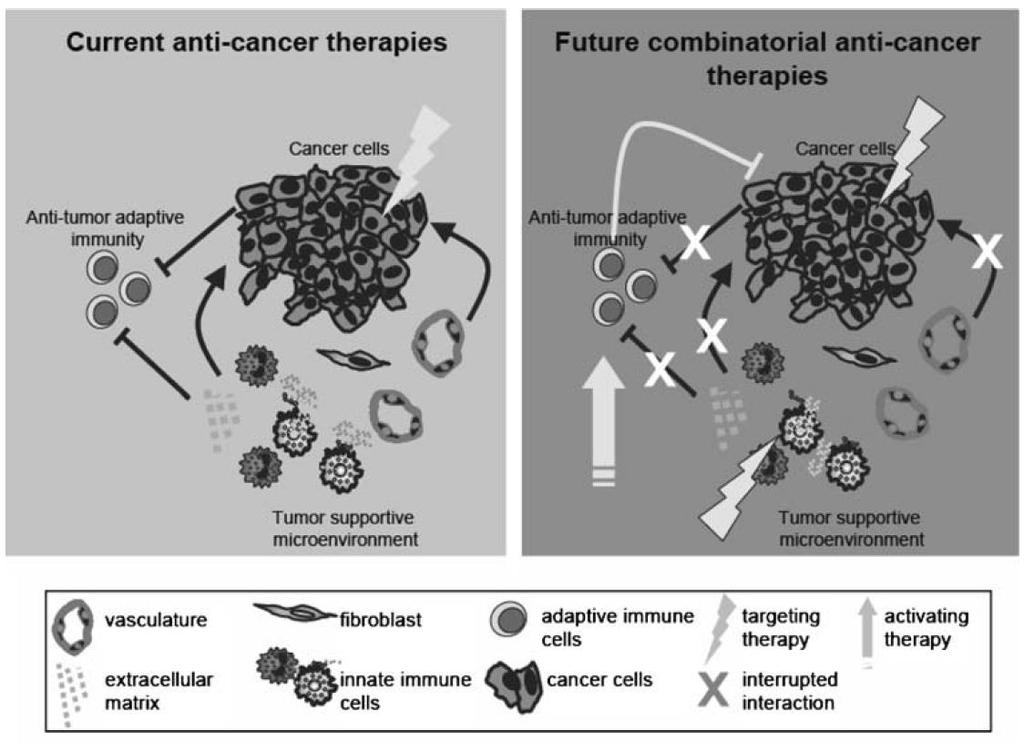 Cancer treatment: new strategies For efficient eradication of well-established tumors: combinatorial approaches not only targeting cancer