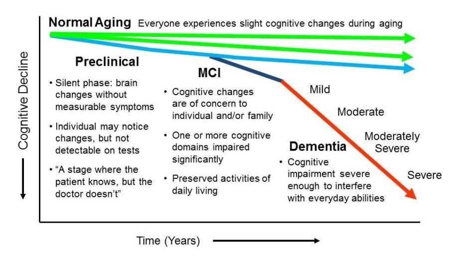 Alzheimer s Disease 30% of those w/ MCI progress to Alzheimer s each year (70%