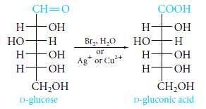 2) Oxidation of Monosaccharides Reactions of Monosaccharides 15