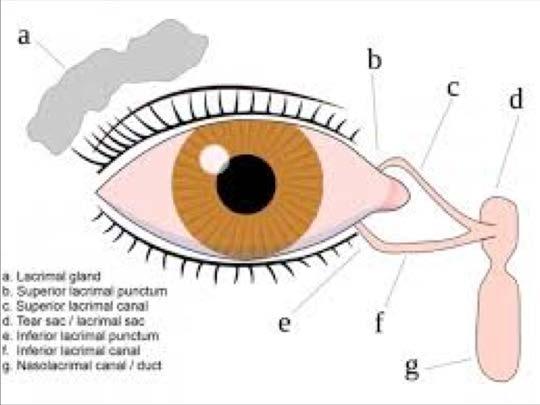 Evaluate for other ocular injury.