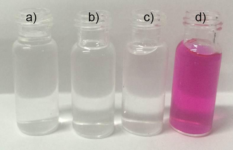 Figure S6 Digital photographs of 1 mg ml -1 ppeptide-nagdf 4 nanodots in different dispersing media