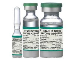 Vaccine Tetanus