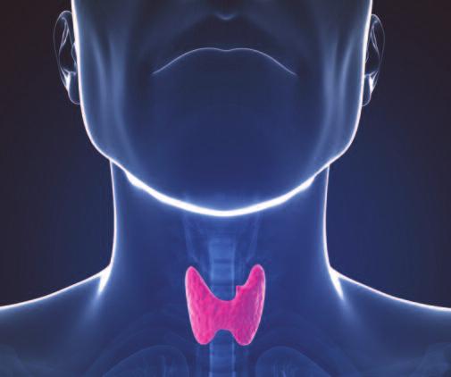 PAPILLARY THYROID CANCER ConTinuED rising trend of thyroglobulin levels may still be an indication of disease recurrence.
