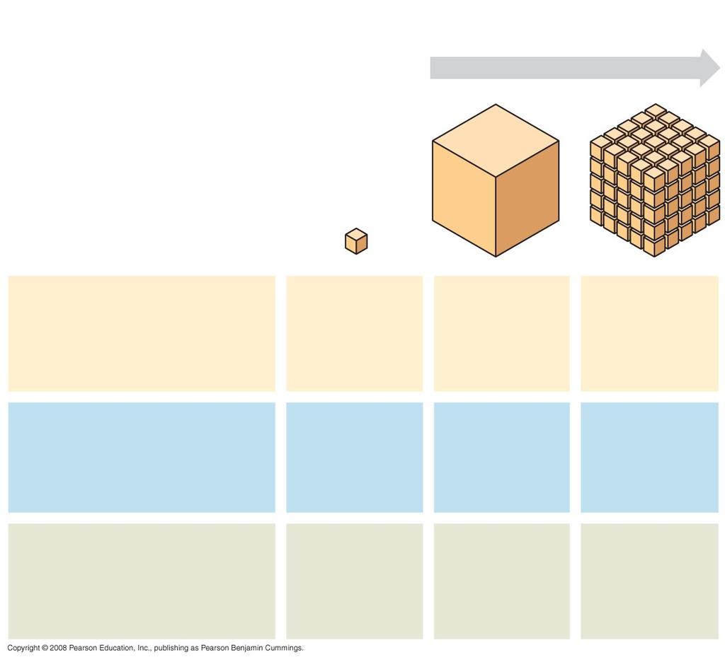 surface areas (height width) of all boxes sides number of boxes] Total volume [height width length number of boxes]