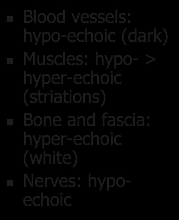 Basic Sonoanatomy Blood vessels: hypo-echoic (dark) Muscles: hypo- > hyper-echoic (striations) Bone and
