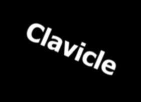 clavicle Plexus