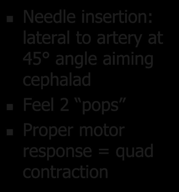insertion: lateral to
