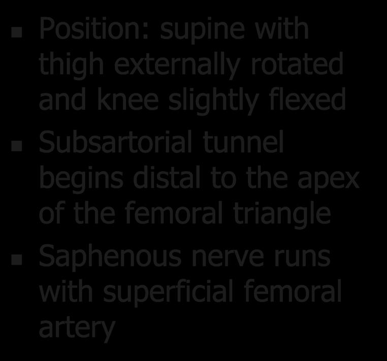 Adductor Canal Anatomy Position: supine with