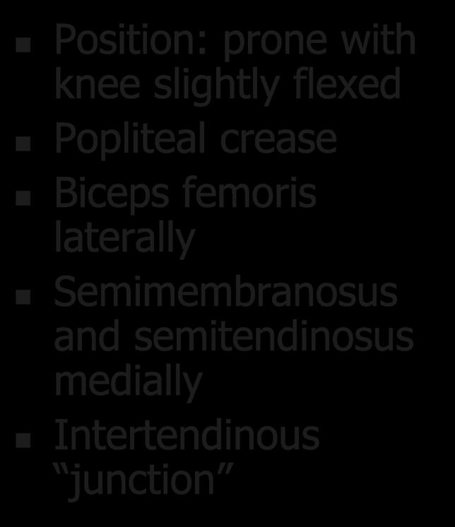 Popliteal Anatomy Position: