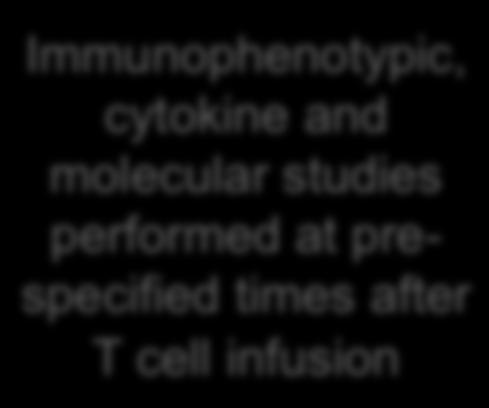 dose of CTL019 cells, 1-4 days after lymphodepletion chemotherapy Immunophenotypic, cytokine and molecular studies performed at prespecified times