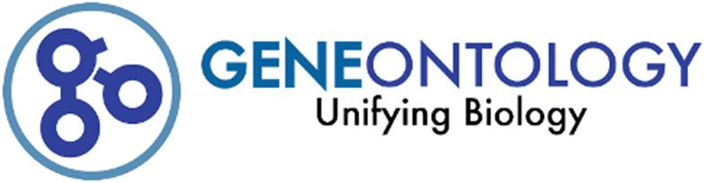 Gene Ontology Initiative to unify the representation of gene and