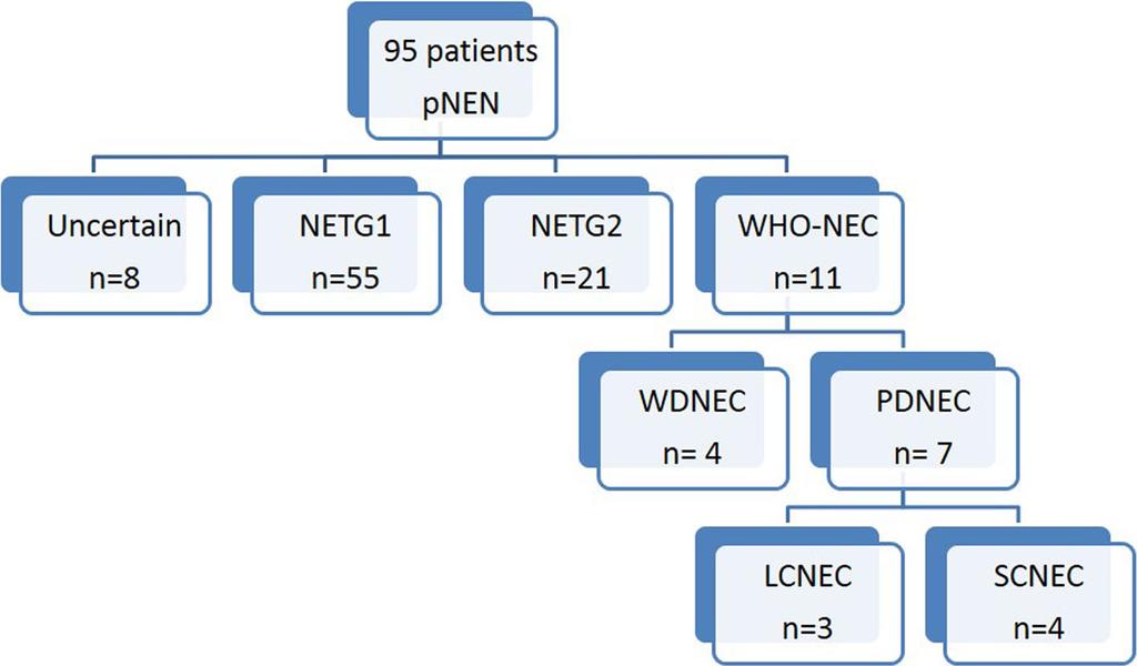 J Gastroenterol (2015) 50:564 572 567 Fig. 1 Algorithm for patient selection from pnen.