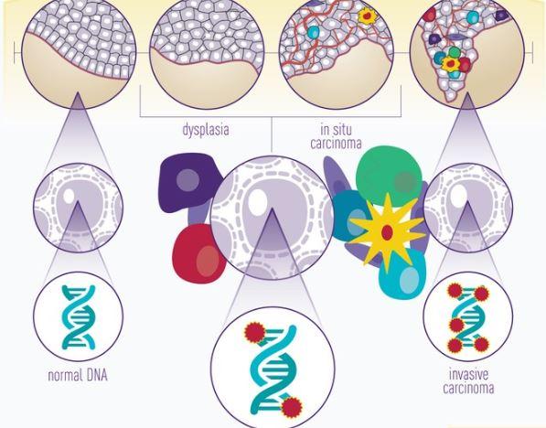 8 Consensus Molecular Subtypes May