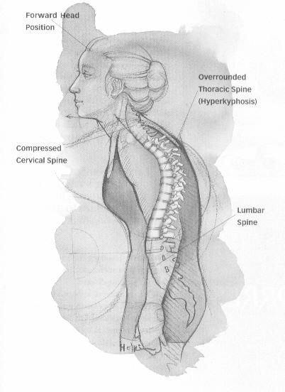 Anatomy of a Yogi BY JULIE GUDMSTAD Yoga Journal, December 2001 Break Out of Your Slump Yoga can prevent slouching and the depression, shallow breathing, tension, and headaches that often go with it.