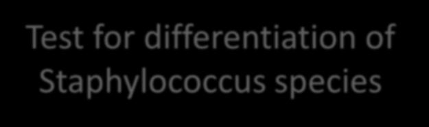 Staphylococcus species
