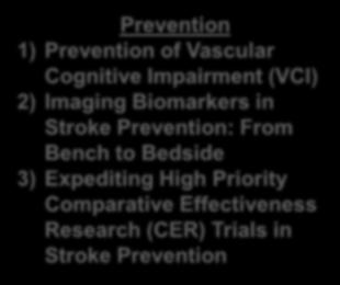 Stroke Prevention Treatment 1) Preclinical and Clinical Studies to