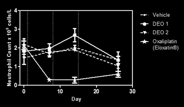 As shown in Figure 2 ELOXATIN (oxaliplatin) treated mice suffered a rapid and severe drop in neutrophil count (neutropenia) as is typical in the use of that drug at effective dosing levels.