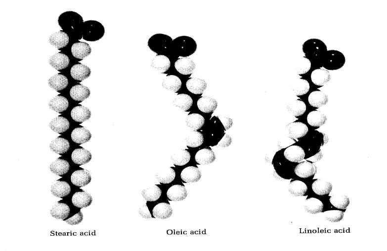 Saturated No C=C bonds Mono unsaturated one