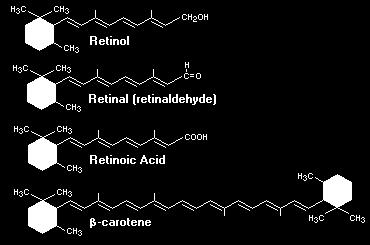 Retinoic acid: an acid, derived by oxidation of retinal, cannot be reduced in the