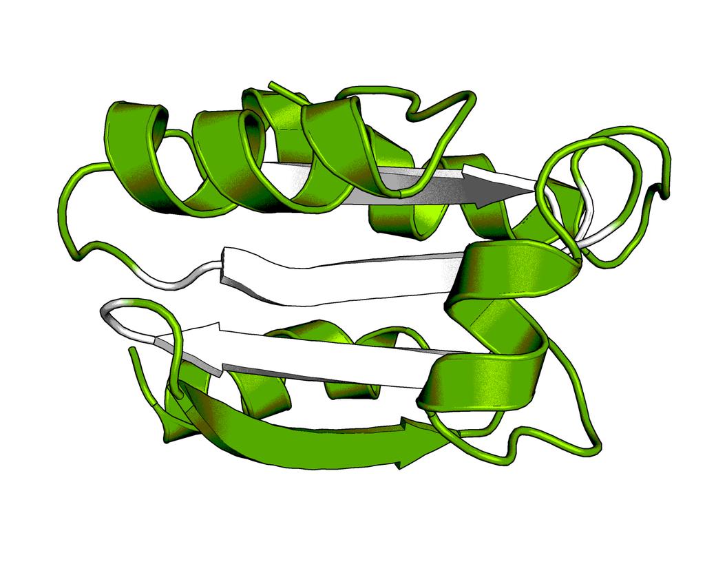 Protein Structure and Computational