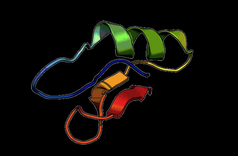 The Course 27617 Protein Structure and