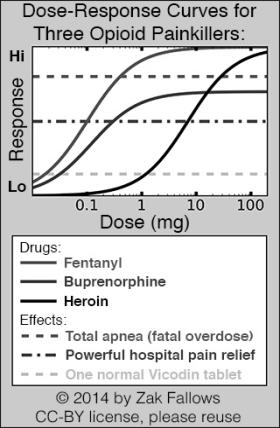 Methadone Pharmacokinetics Buprenorphine Pharmacokinetics 13 14 15 16 Methadone and Buprenorphine as analgesics Both are approved for use in chronic pain Daily dosing used for MAT does not provide